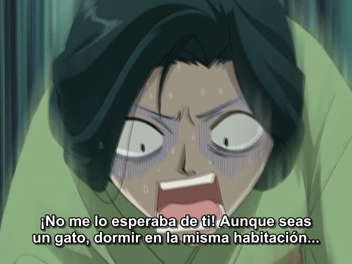 Fruits Basket (Daisuke06)